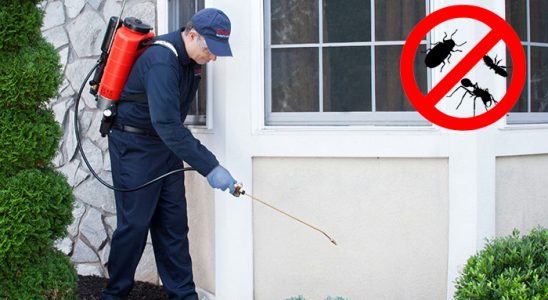 Polatlı Böcek İlaçlama böcek ilaçlama ve haşere kontrolü — ilaclama-tr.com